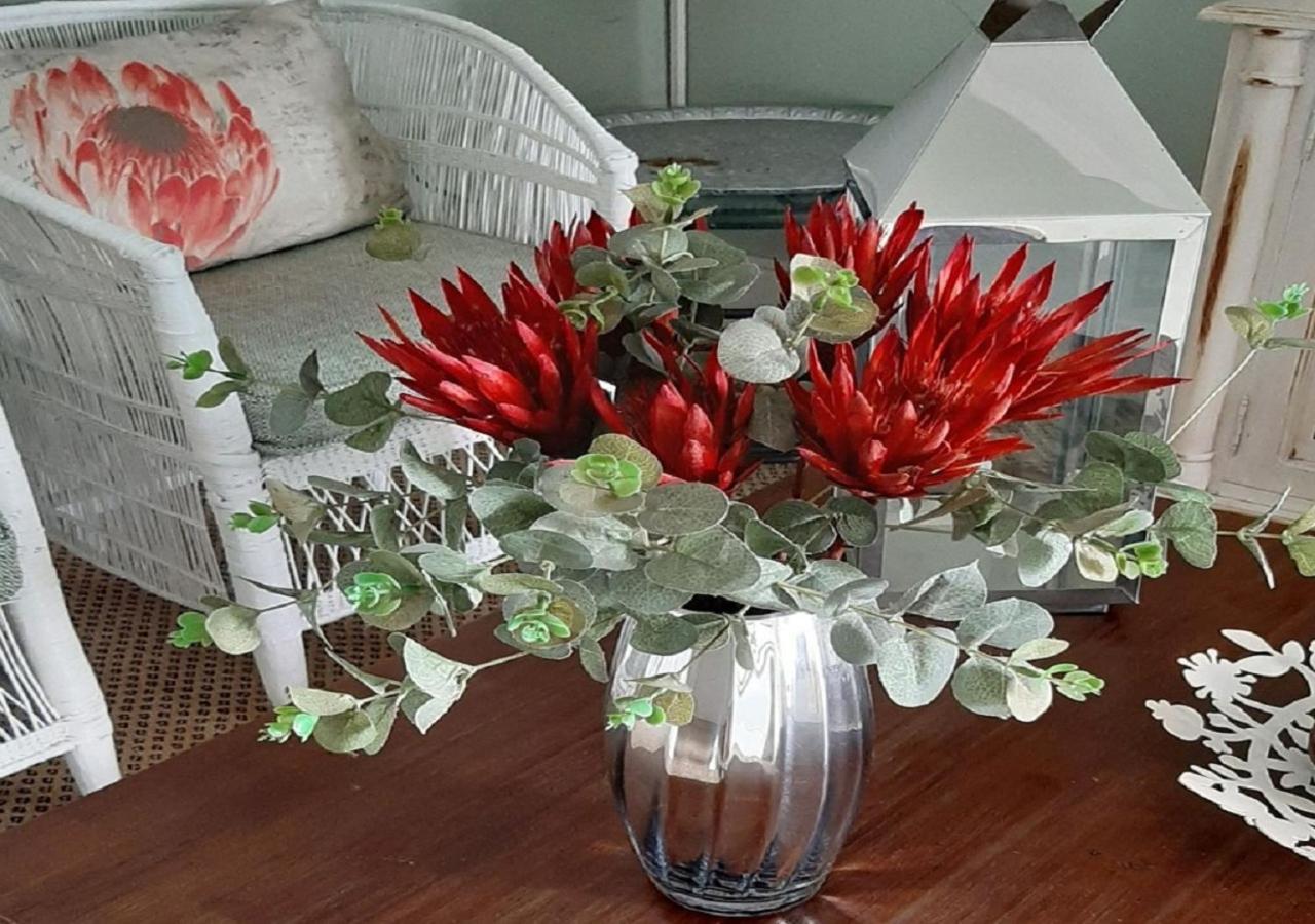 The Greenhouse Guesthouse Κέιπ Τάουν Εξωτερικό φωτογραφία