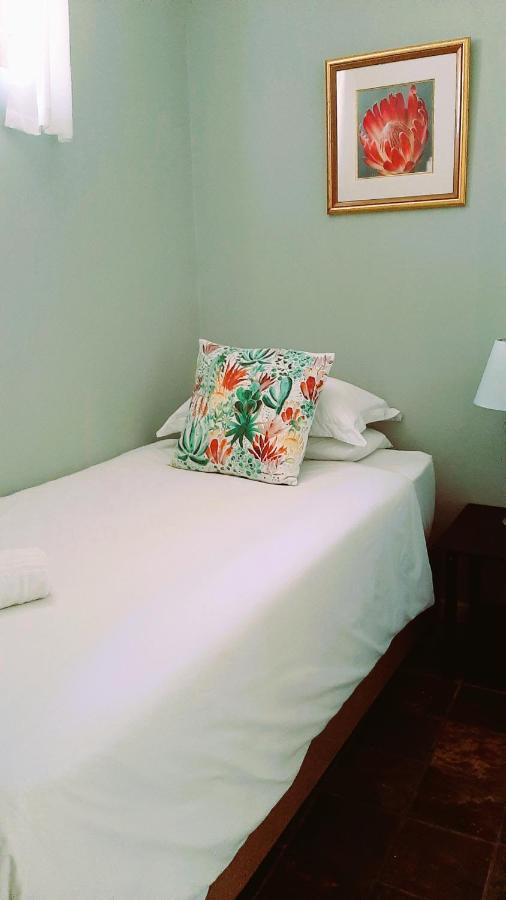 The Greenhouse Guesthouse Κέιπ Τάουν Εξωτερικό φωτογραφία